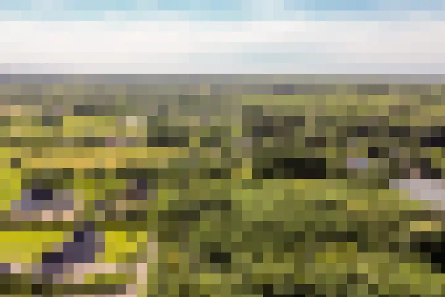 Achterstrypseweg 10 Rockanje thumbnail 68