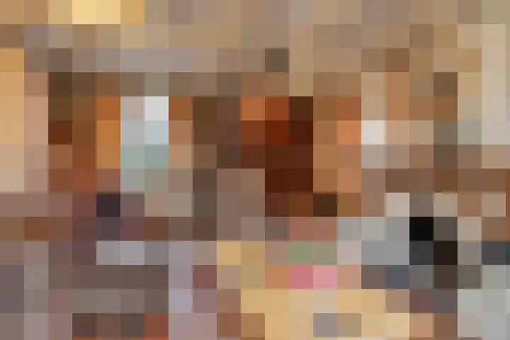 Achterstrypseweg 11 Rockanje thumbnail 16