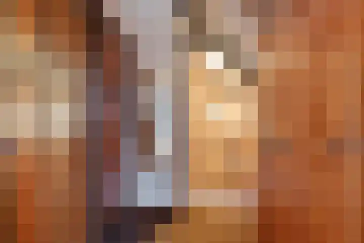 Achterstrypseweg 11 Rockanje thumbnail 19