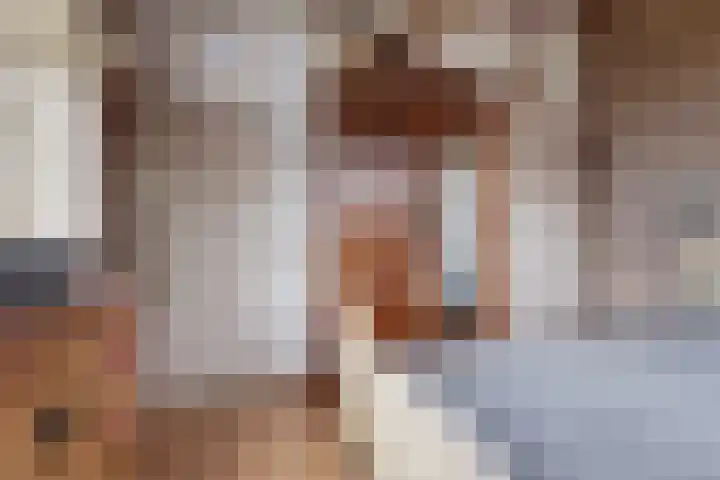 Achterstrypseweg 11 Rockanje thumbnail 21