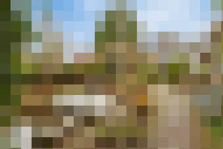 Achterstrypseweg 11 Rockanje thumbnail 26