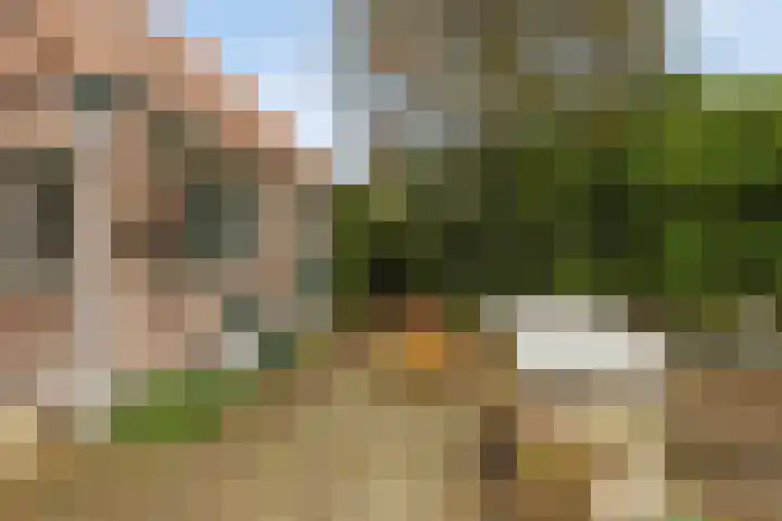 Achterstrypseweg 11 Rockanje thumbnail 27