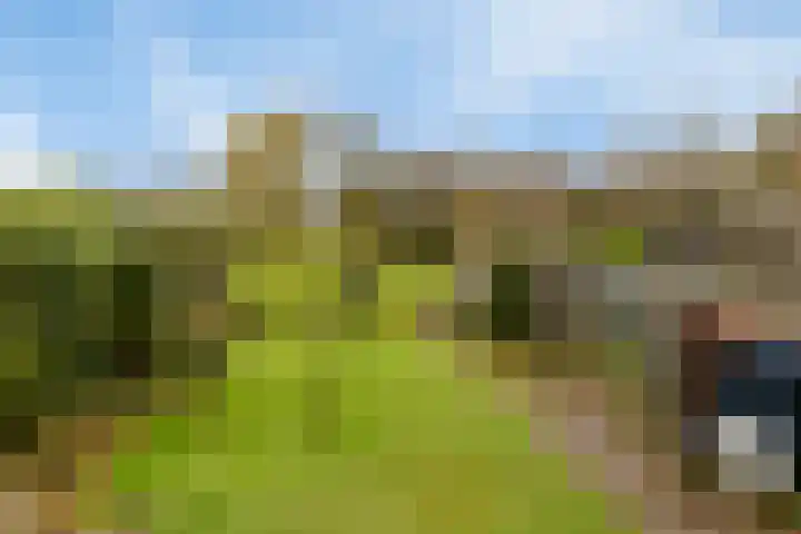 Achterstrypseweg 11 Rockanje thumbnail 28