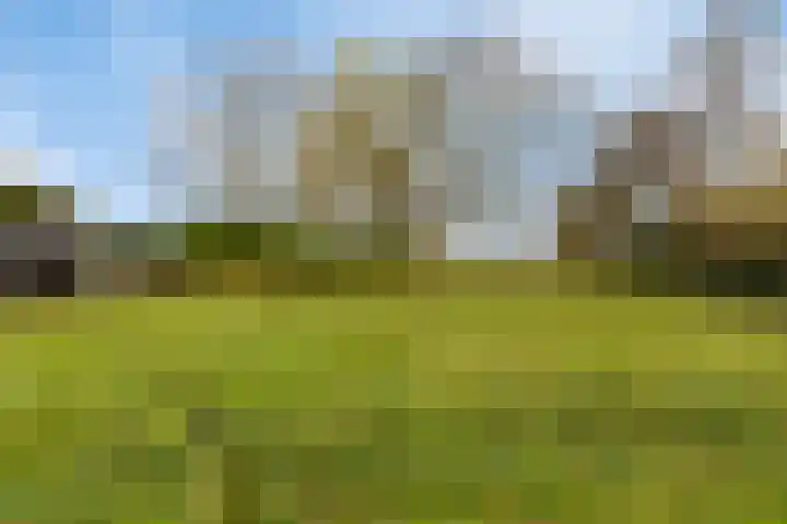 Achterstrypseweg 11 Rockanje thumbnail 29