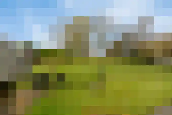 Achterstrypseweg 11 Rockanje thumbnail 30