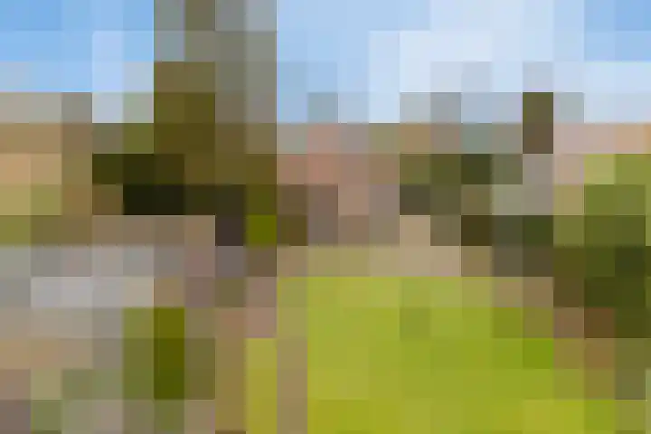 Achterstrypseweg 11 Rockanje thumbnail 31