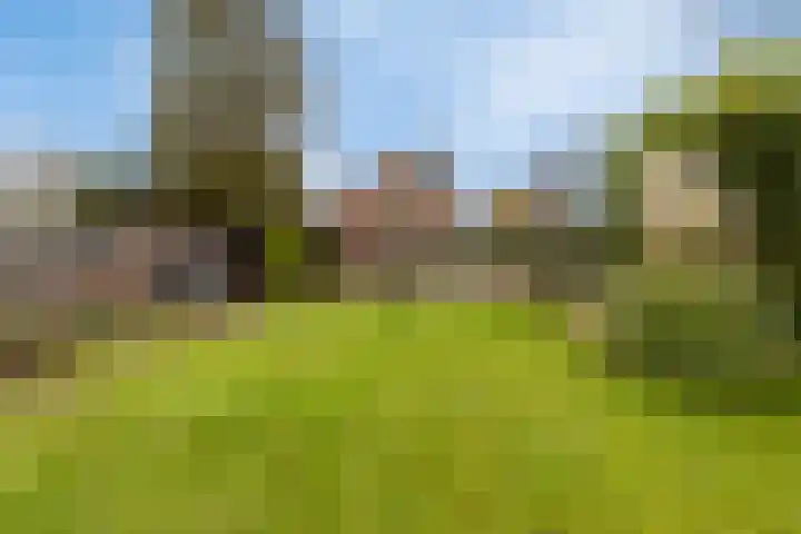 Achterstrypseweg 11 Rockanje thumbnail 32