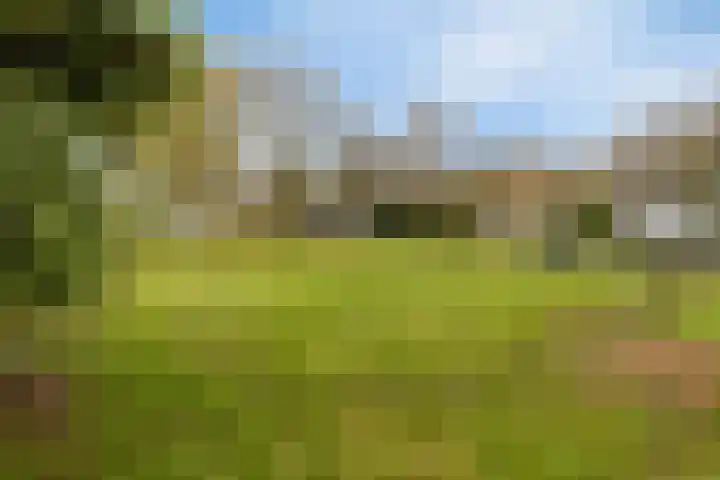 Achterstrypseweg 11 Rockanje thumbnail 33