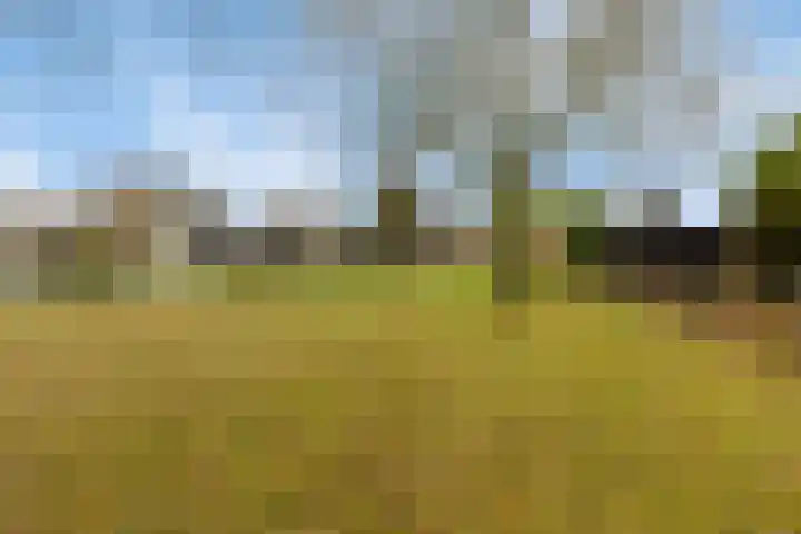 Achterstrypseweg 11 Rockanje thumbnail 34
