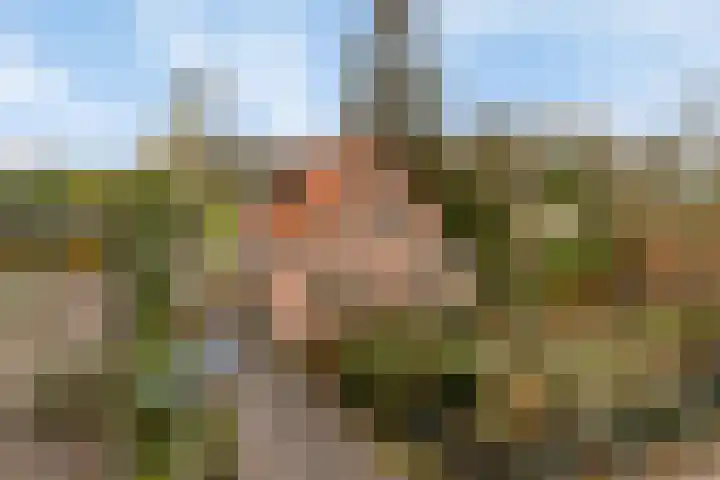 Achterstrypseweg 11 Rockanje thumbnail 35