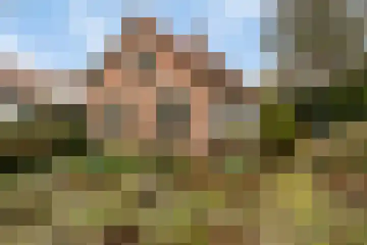 Achterstrypseweg 11 Rockanje thumbnail 37