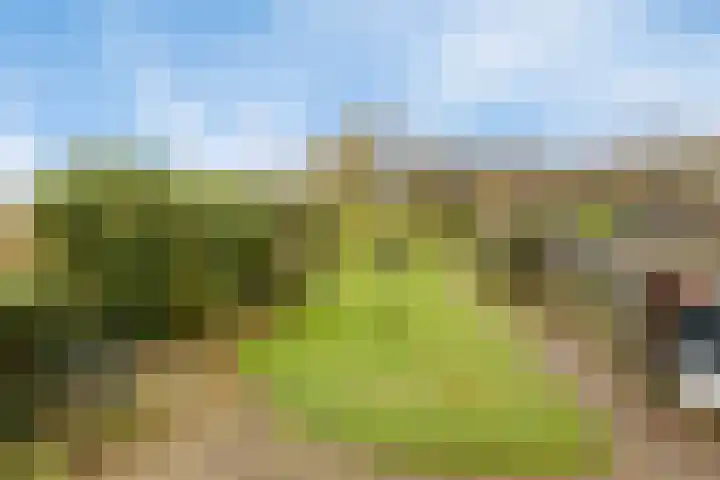Achterstrypseweg 11 Rockanje thumbnail 5