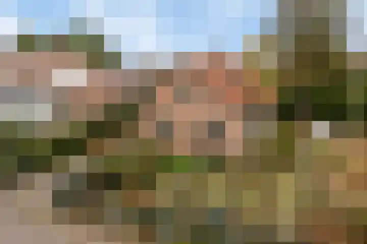 Achterstrypseweg 11 Rockanje thumbnail 6
