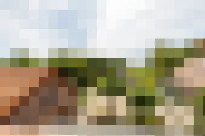 Achterstrypseweg 23 Rockanje thumbnail 25