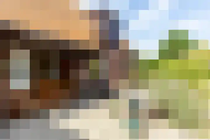 Achterstrypseweg 23 Rockanje thumbnail 26