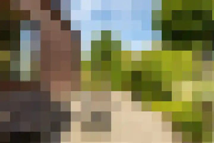 Achterstrypseweg 23 Rockanje thumbnail 27