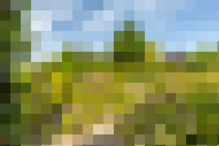 Achterstrypseweg 23 Rockanje thumbnail 28