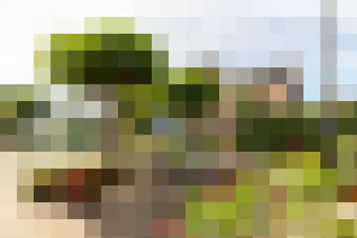 Achterstrypseweg 23 Rockanje thumbnail 29