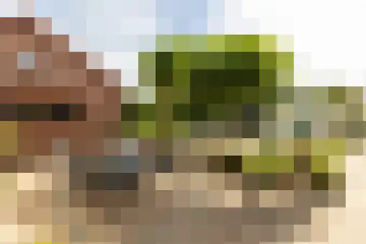 Achterstrypseweg 23 Rockanje thumbnail 30