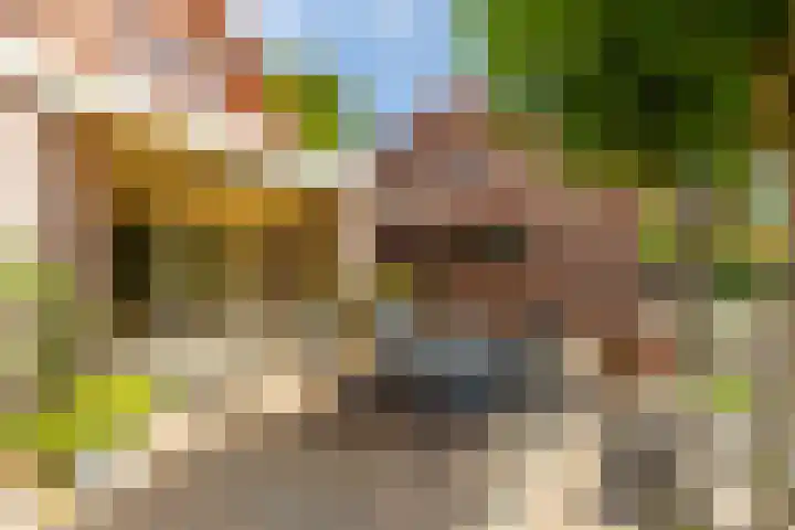 Achterstrypseweg 23 Rockanje thumbnail 32