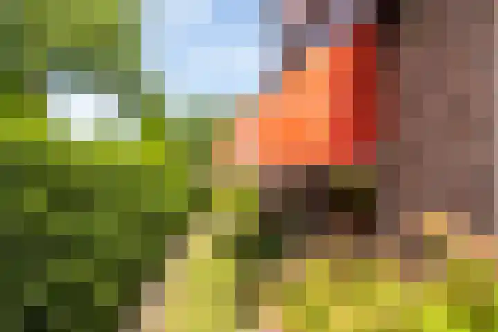 Achterstrypseweg 23 Rockanje thumbnail 33