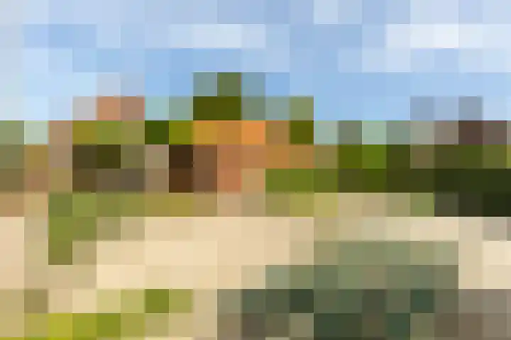 Achterstrypseweg 23 Rockanje thumbnail 34