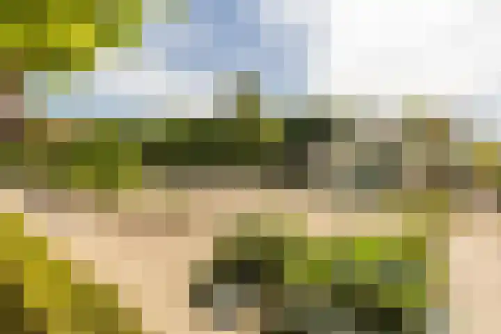 Achterstrypseweg 23 Rockanje thumbnail 36