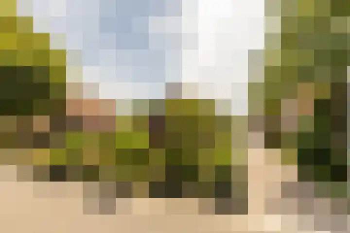 Achterstrypseweg 23 Rockanje thumbnail 38