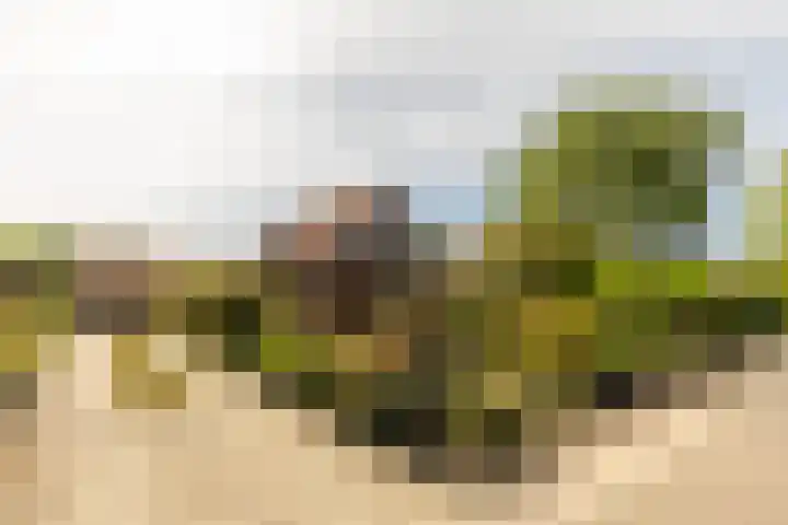 Achterstrypseweg 23 Rockanje thumbnail 39