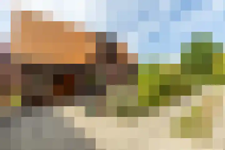 Achterstrypseweg 23 Rockanje thumbnail 4