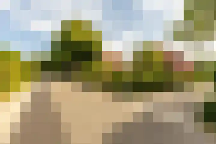 Achterstrypseweg 23 Rockanje thumbnail 40