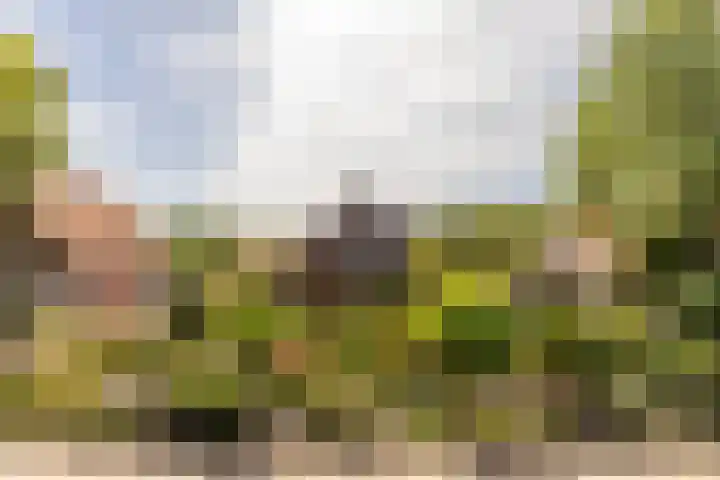 Achterstrypseweg 23 Rockanje thumbnail 45