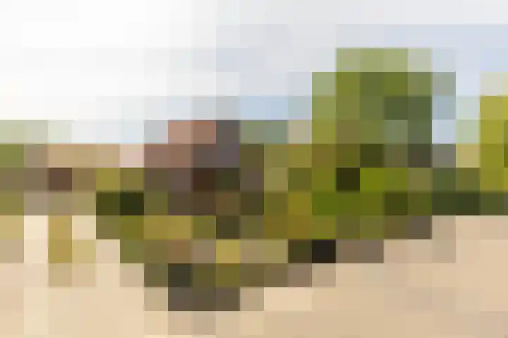 Achterstrypseweg 23 Rockanje thumbnail 5