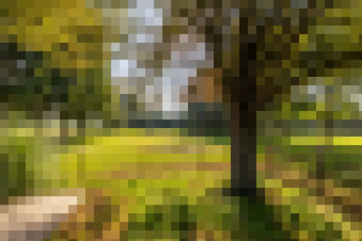 Achterstrypseweg 9 b Rockanje thumbnail 102