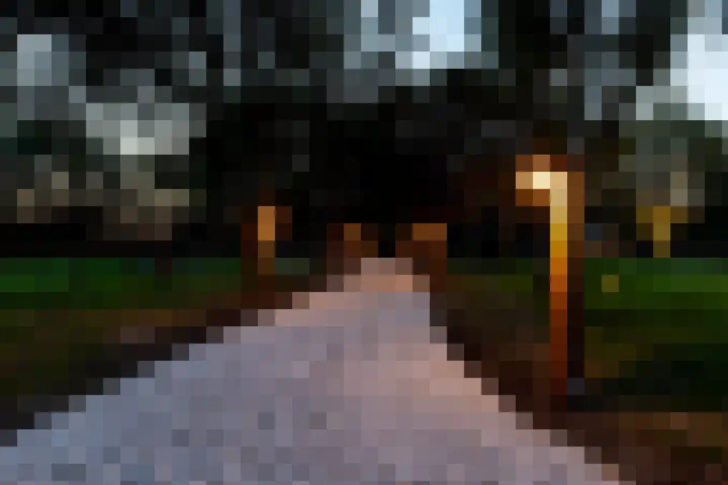 Achterstrypseweg 9 b Rockanje thumbnail 110