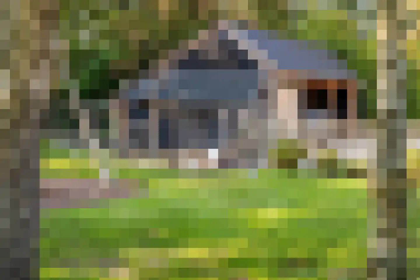 Achterstrypseweg 9 b Rockanje thumbnail 23