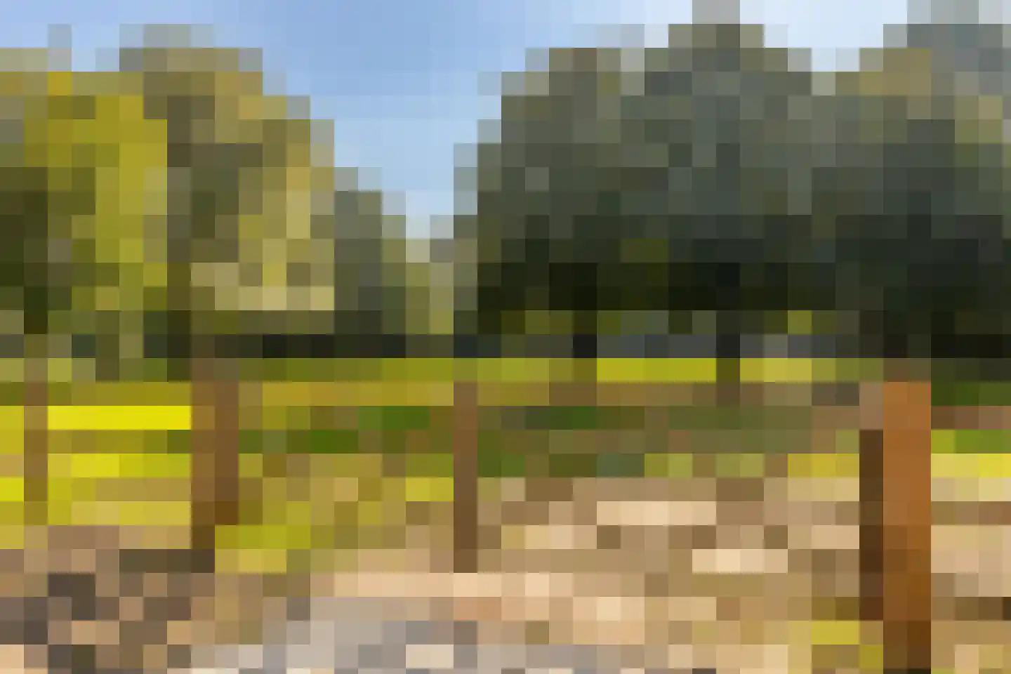 Achterstrypseweg 9 b Rockanje thumbnail 26