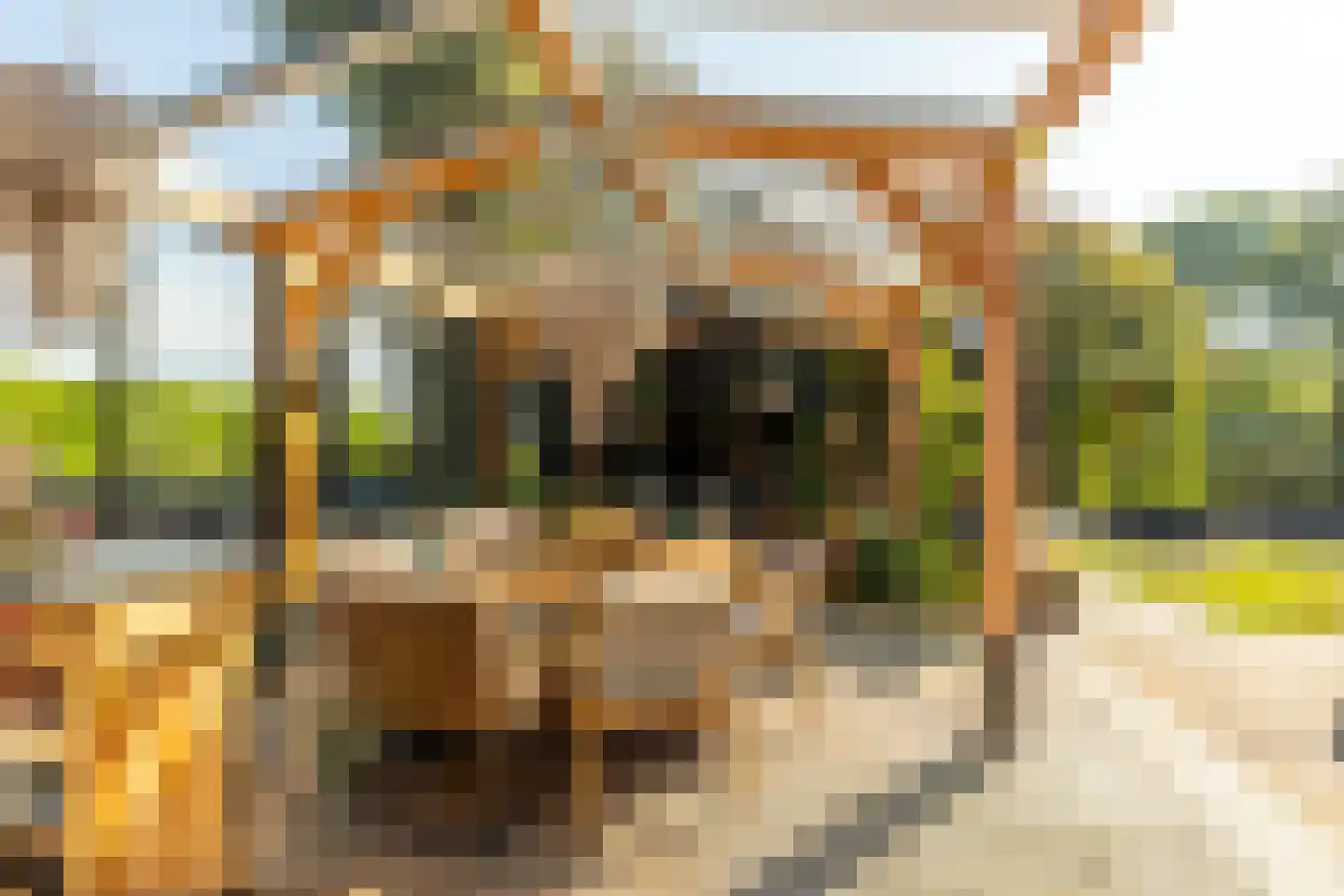 Achterstrypseweg 9 b Rockanje thumbnail 60
