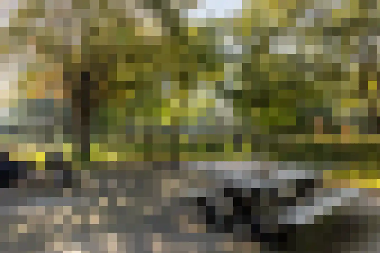 Achterstrypseweg 9 b Rockanje thumbnail 82