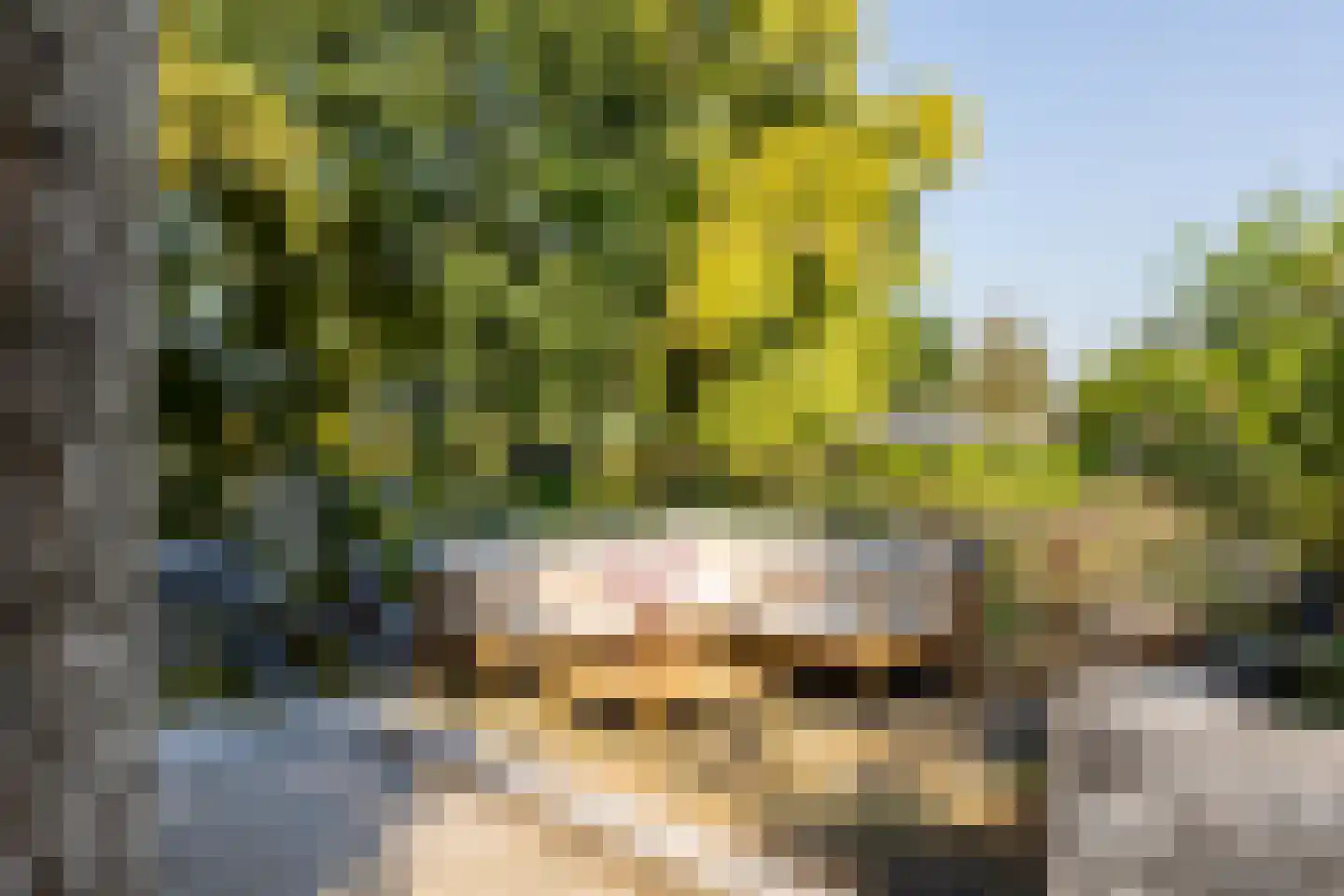 Achterstrypseweg 9 b Rockanje thumbnail 98