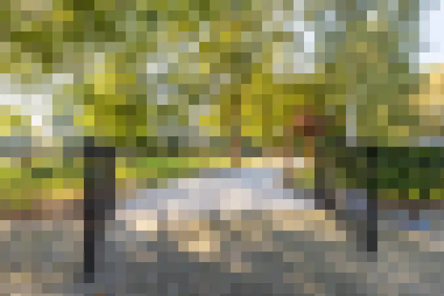 Achterstrypseweg 9 b Rockanje thumbnail 99