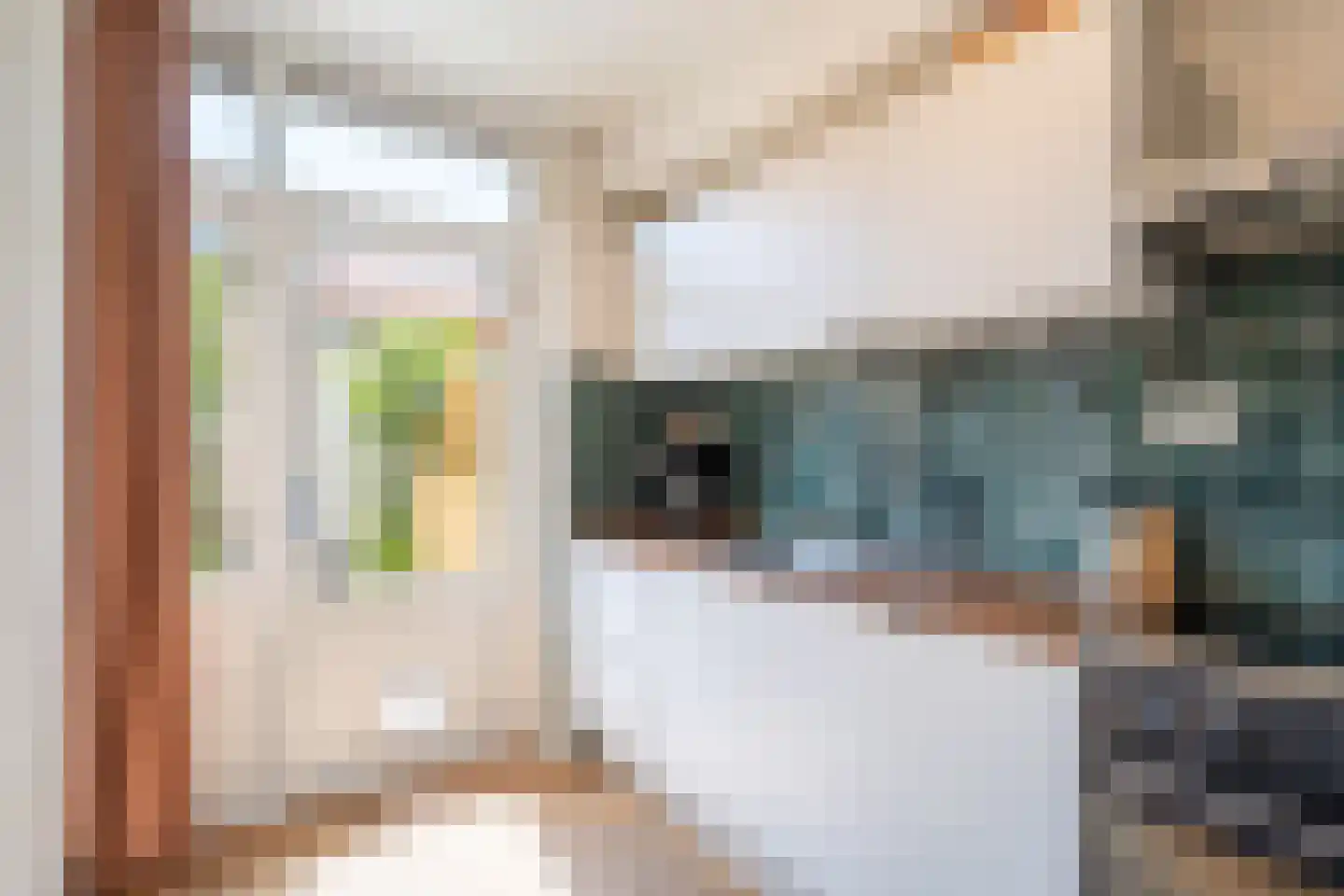 Achtervang 7 Breda thumbnail 13