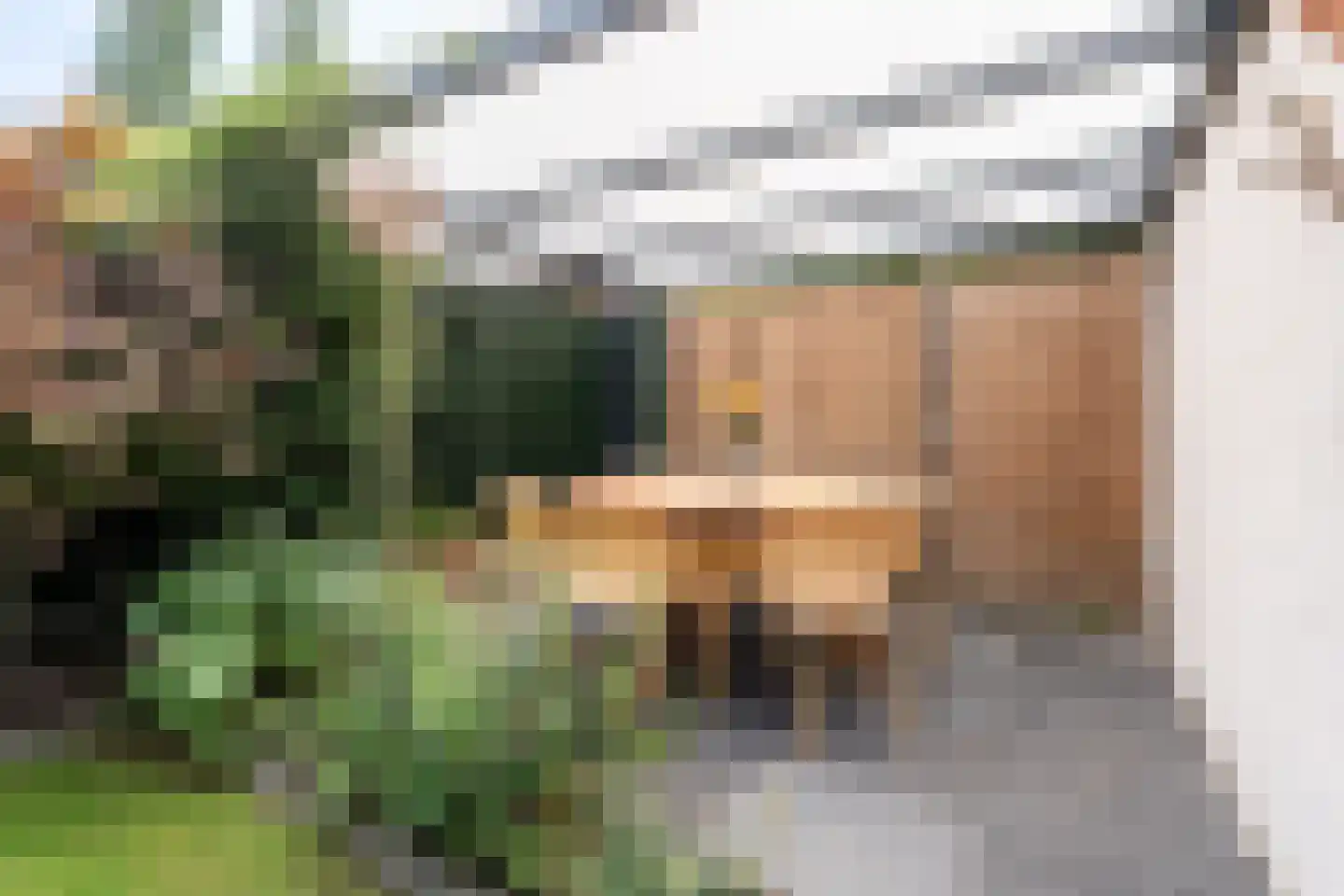 Achtervang 7 Breda thumbnail 15