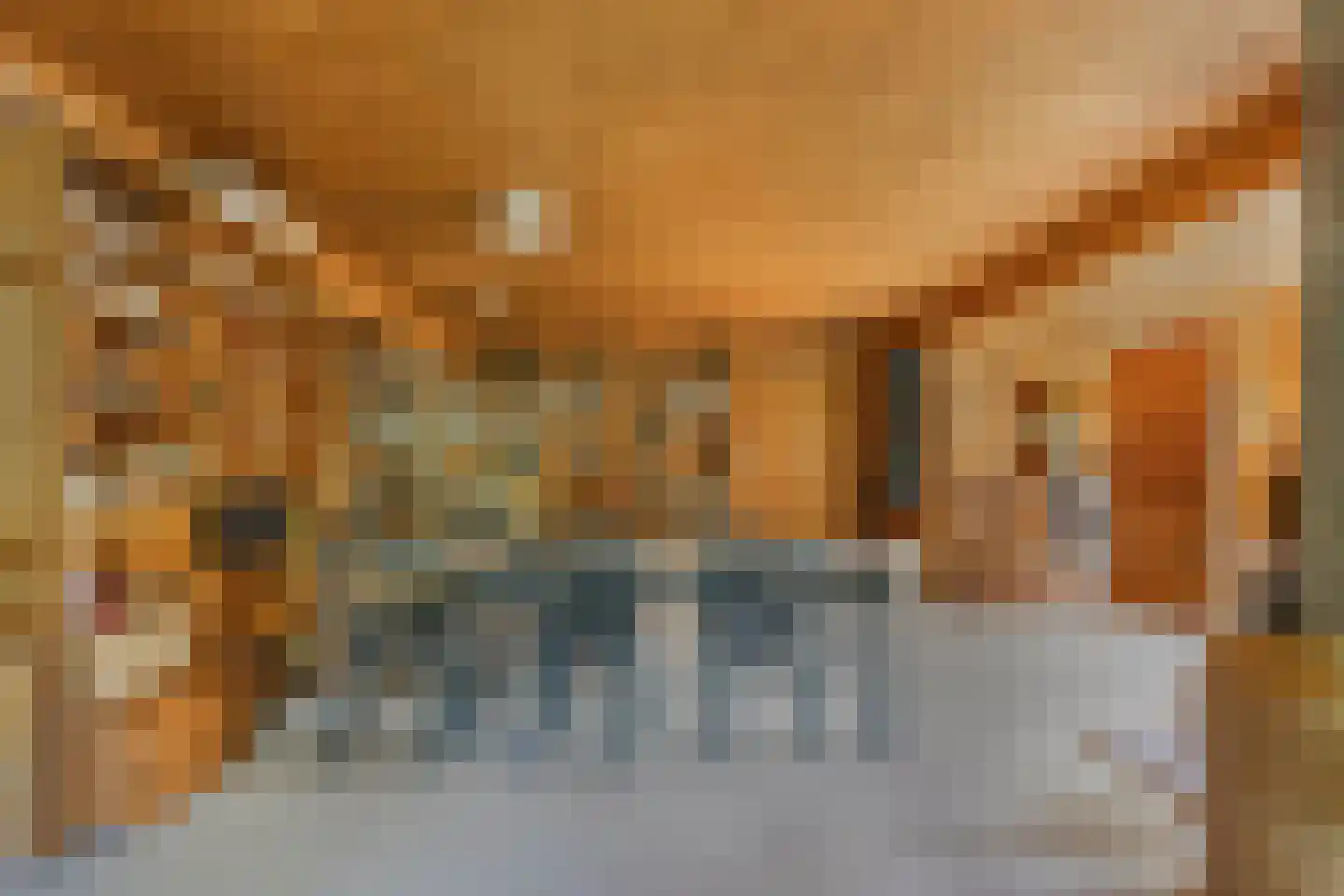Achterveld 4 Tuk thumbnail 10