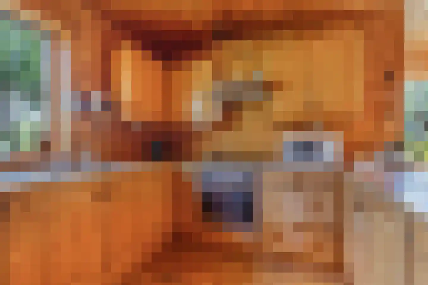 Achterveld 4 Tuk thumbnail 13