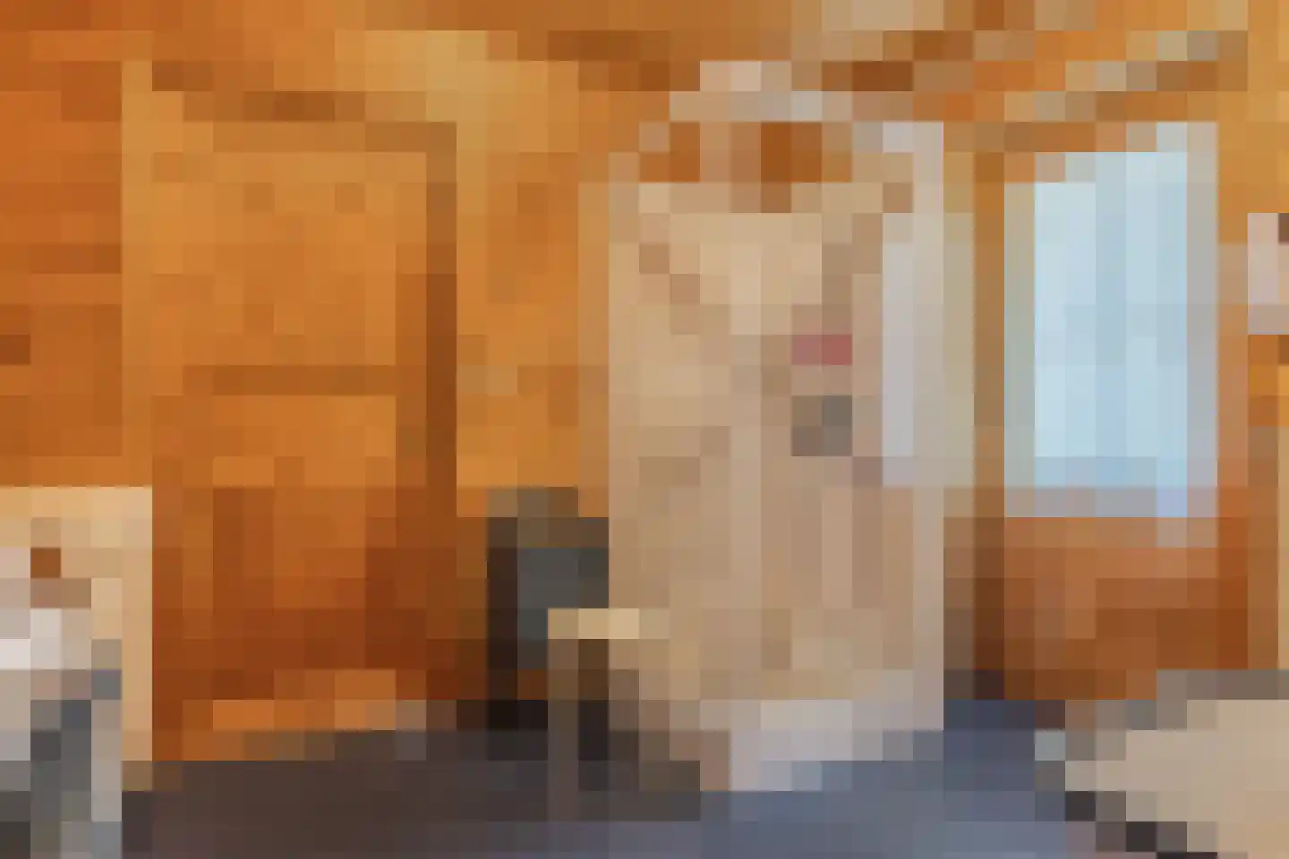 Achterveld 4 Tuk thumbnail 17