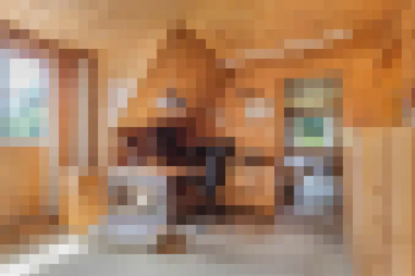 Achterveld 4 Tuk thumbnail 18