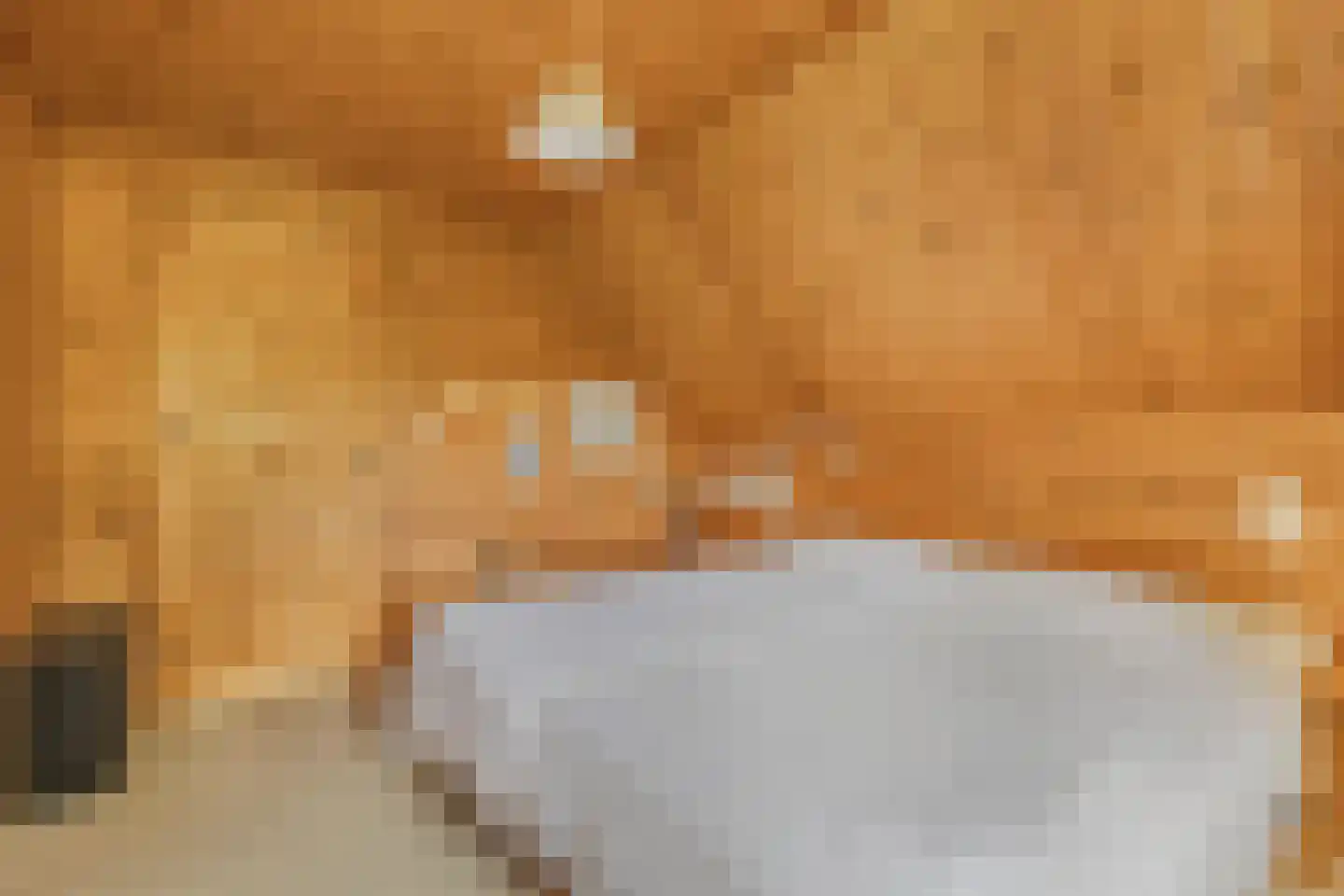 Achterveld 4 Tuk thumbnail 20