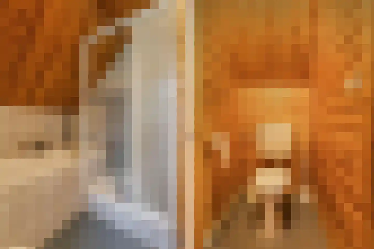 Achterveld 4 Tuk thumbnail 23