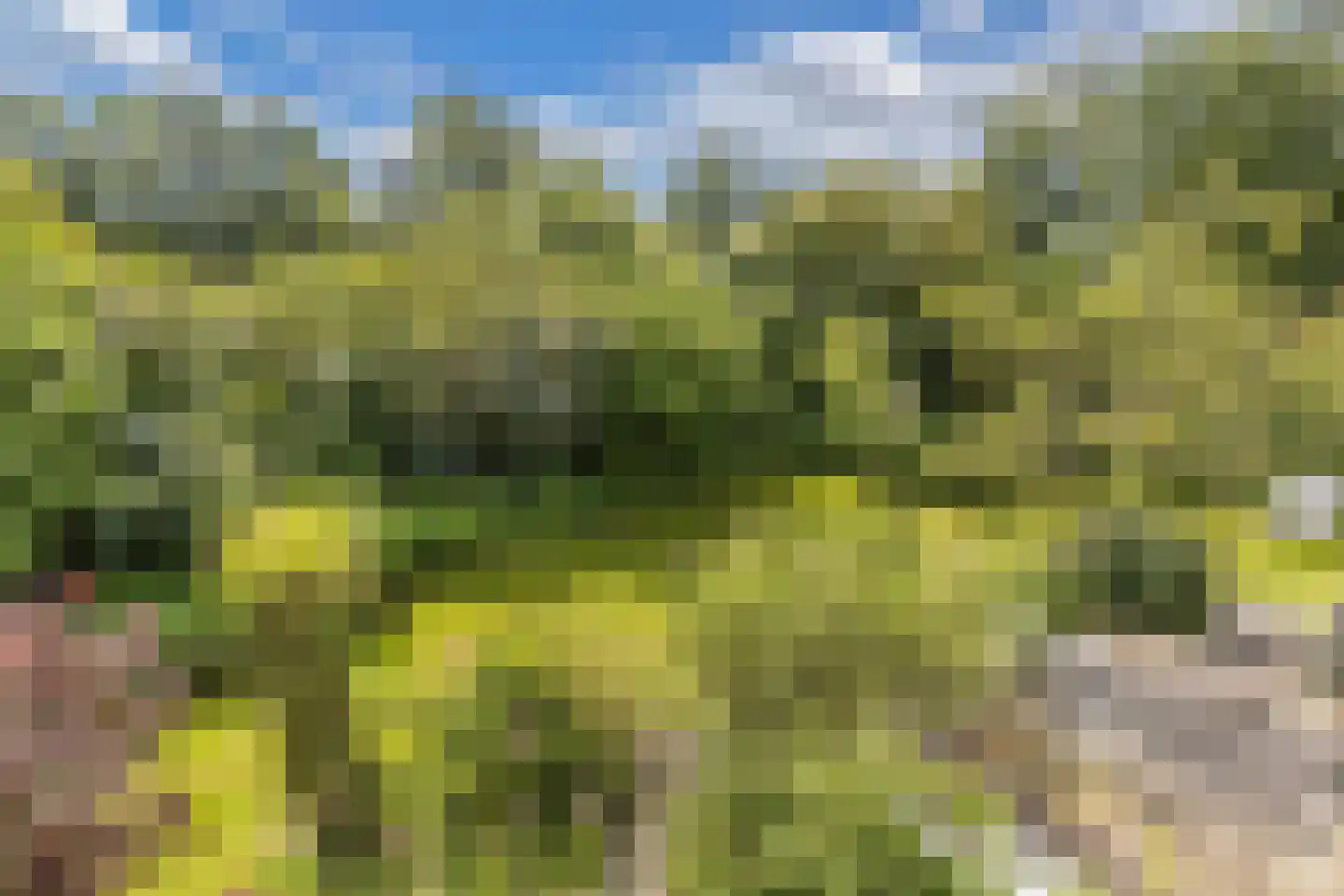 Achterveld 4 Tuk thumbnail 27